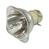 OPTOMA X355 Lámpara sin carcasa