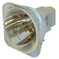 SANYO PDG-DWT50 Lámpara sin carcasa