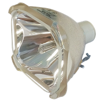 VIEWSONIC RLC-250-03A Lámpara sin carcasa